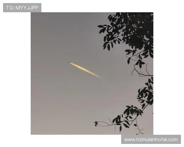 略伦特质疑飞机尾迹污染环境机长解释水汽凝结形成冰晶自然现象